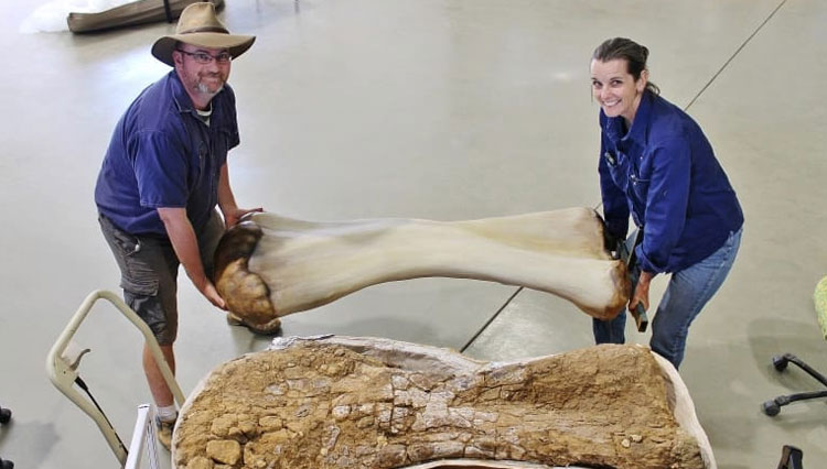 Scott Hocknull dan Robyn Mackenzie berpose dengan rekonstruksi 3D dan tulang humerus Cooper. (FOTO A: Al Jazeera/Handout via Reuters)