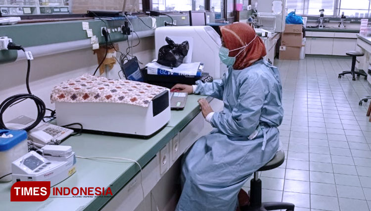 Peneliti ITD UNAIR saat melakukan proses penelitian tanaman Obat Anti-HIV. (FOTO: AJP TIMES Indonesia)