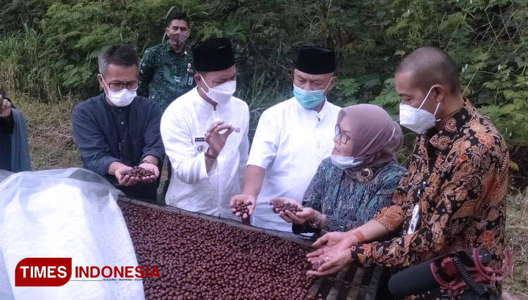 Bupati Bandung HM Dadang Supriatna meninjau Poktan Kopi Wanoja, Kampung Sangkan, Desa Laksana, Kecamatan Ibun, Kabupaten Bandung, Jumat (11/6/21). (FOTO: Iwa/TIMES Indonesia)
