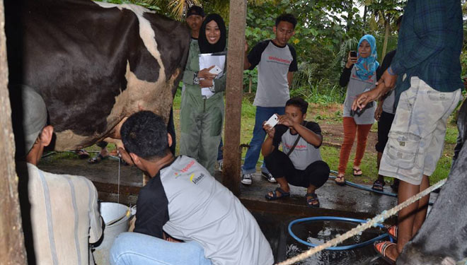 Wisatawan sedang melihat proses pemerahan susu sapi di Desa Wisata Semen, Kecamatan Gandusari Kabupaten Blitar, Jawa Timur. (Foto: dok. Desa Wisata Semen)