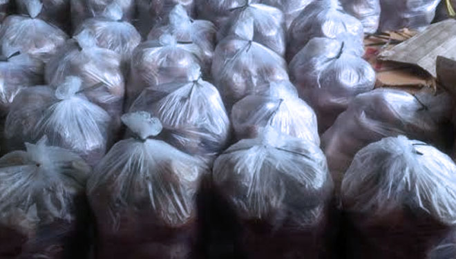 PT Gulung Tikar, Petani Gula Jawa Organik Wonoanti Merugi