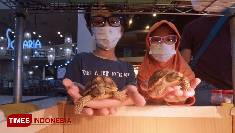Pengunjung-memegang-kura-kura.jpg