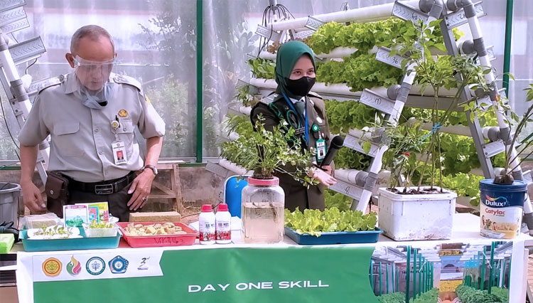 Asyik, Polbangtan Malang Berbagi Ilmu Menanam Hidroponik 
