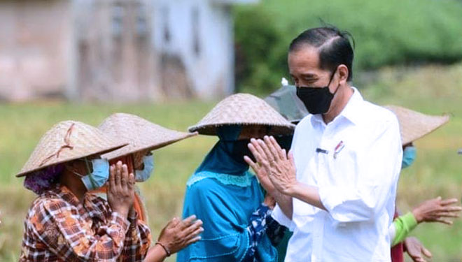 Presiden RI Jokowi (Joko Widodo) saat bersamaan para petani. (FOTO: Facebook Presiden RI Jokowi)