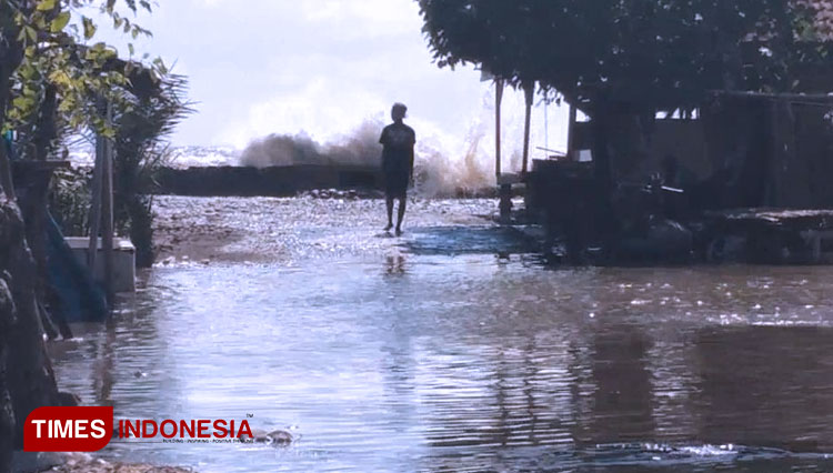 Pemukiman Nelayan dan Tambak di Probolinggo Diterjang Banjir Rob