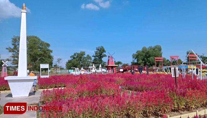 Taman Bunga Celosia Spring Hill c