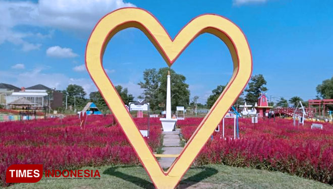 Taman Bunga Celosia Spring Hill, Talang Kelapa, Palembang (Foto : Rochman/TIMES Indonesia)