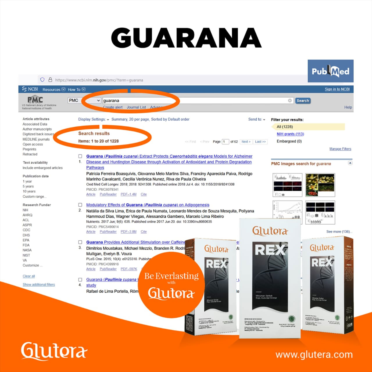 Glutera Guarana
