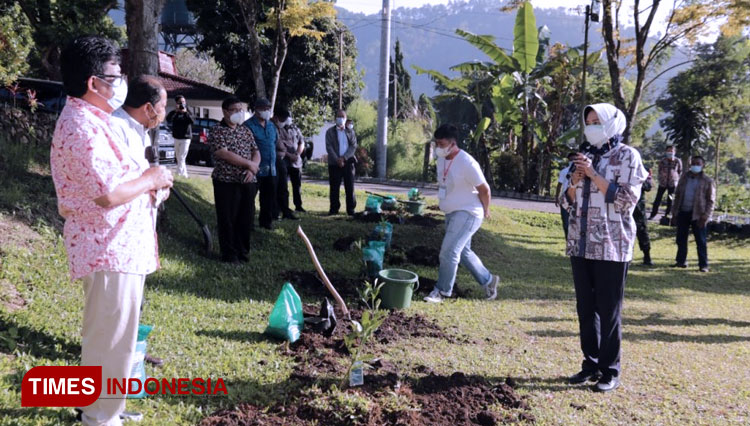 Gerakan Tanam Pohon