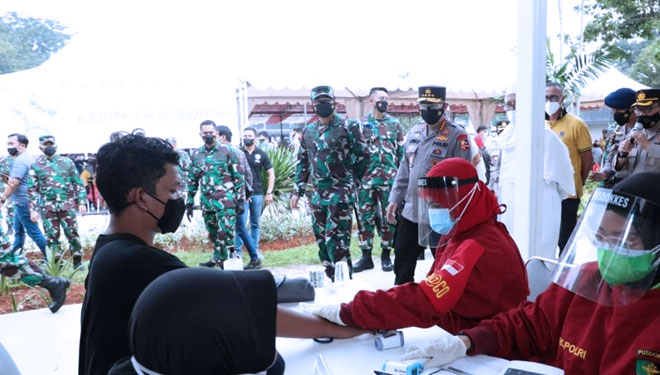panglima tni c
