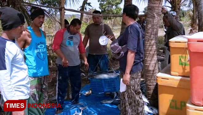 Musim Ikan Laut di Kabupaten Pangandaran Segera Tiba