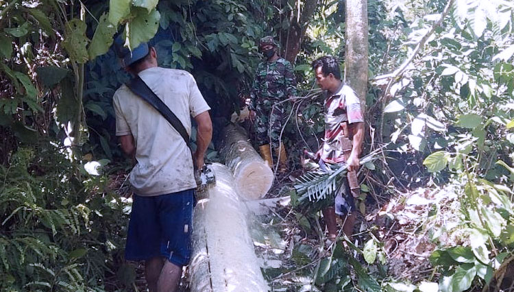 Kebersamaan Dalam Giat Pembelahan Kayu Jembatan Huta Tonga-Siuhom ...