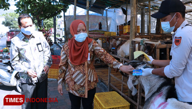 Petugas memeriksa kesehatan Hewan Kurban di beberapa tempat penjualan hewan kurban. (foto: Muhammad Dhani Rahman/TIMES Indonesia)