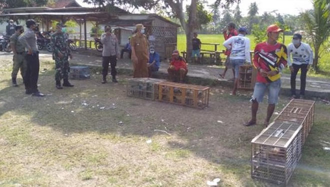 Pembubaran acara ketangkasan burung merpati di Pangandaran (Foto : Humas Polres)