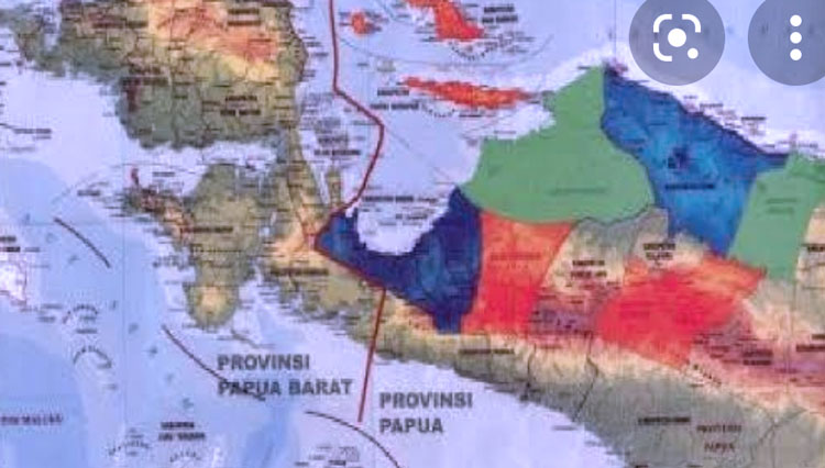Peta Papua (FOTO: istimewa)