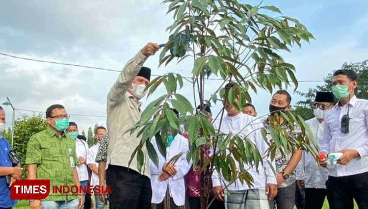 Arum Sabil 1