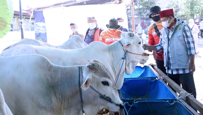 Wagub Jabar Uu Ruzhanul Ulum saat berkunjung ke pasar hewan kurban di Cihanjuang, Kota Cimahi, Kamis (15/7/2021). (Foto: Adpim Jabar for TIMES Indonesia)
