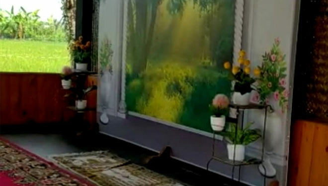 Kreativitas di Masa PPKM, KUA di Lamongan Sediakan Tempat yang Cantik untuk Akad Nikah
