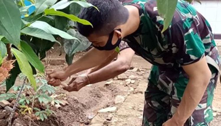 Satgas TMMD ke 111 Kodim 0212/TS saat belajar mencangkok jambu madu bersama Ibu Maya masyarakat, Desa Siuhom, Kec Angkola Barat, Kab Tapanuli Selatan