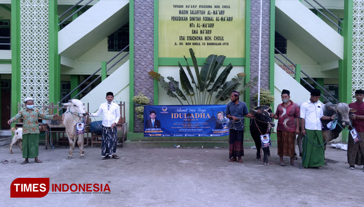 Ketua DPD Partai NasDem Bangkalan H Mohammad Nasih Aschal menyerahkan bantuan sapi kurban kepada para pengasuh pondok pesantren di Ponpes Syaichona Mohammad Cholil Bangkalan. (FOTO: Doni Heriyanto/TIMES Indonesia)
