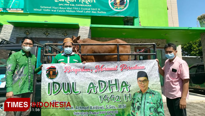 Ali Masykur di (tengah) saat menerima kiriman sapi kurban di Kantor DPC PPP Pamekasan, Jalan Diponegoro.(Foto: Akhmad Syafi'i/TIMES Indonesia)