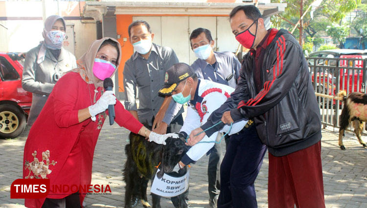 Gotong Royong Anggota, Koperasi SBW Malang Salurkan Kurban ke Belasan Penerima