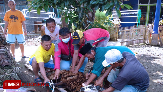 Proses pemotongan hewan kurban di lingkungan Pamongkoran (foto:Susi/TIMES Indonesia)