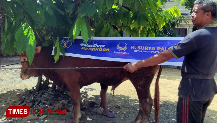 Bantuan hewan kurban dari Ketua Umum Partai Nasdem Surya Paloh untuk warga Trenggalek. (FOTO:Fafa/TIMES Indonesia)