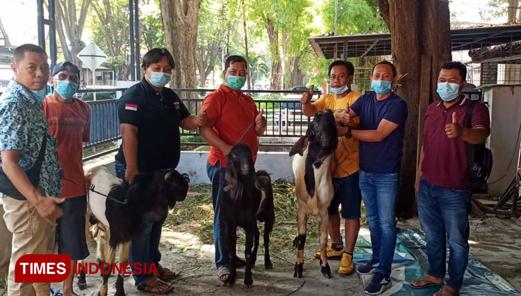 Pengurus KWG hendak memotong hewan kurban (Foto: Akmal/TIMES Indonesia).