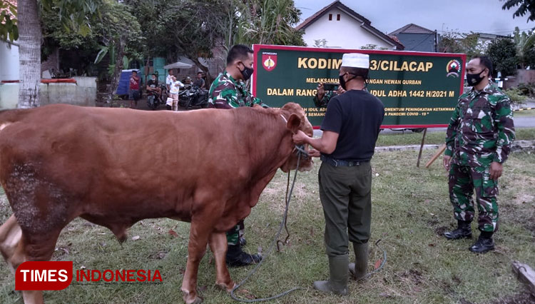 Dandim menyerahkan langsung hewan kurban kepada panitia penyembelihan kurban Kodim 0703 Cilacap. (FOTO: Pendim Cilacap for TIMES Indonesia) 