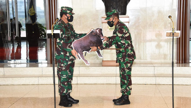 Panglima TNI Marsekal TNI Hadi Tjahjanto menyerahkan 1 ekor sapi sebagai hewan kurban secara simbolis kepada Dandenma Mabes TNI Brigjen TNI (Mar) Oni Junianto. (foto: Puspen TNI)