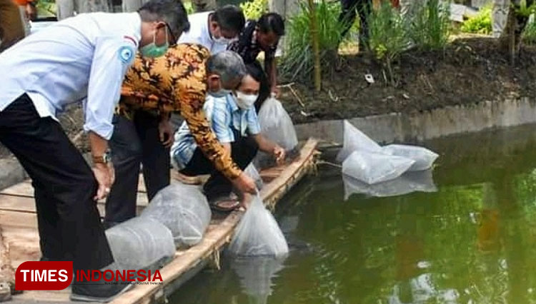 DKPKP Kabupaten Pangandaran mendistribusikan bantuan benih ikan budidaya ke masyarakat (Foto : Syamsul Ma'arif/TIMES Indonesia) 
