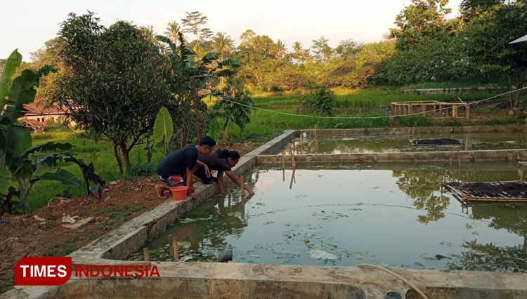 Padepokan Wangsa Syahitu b