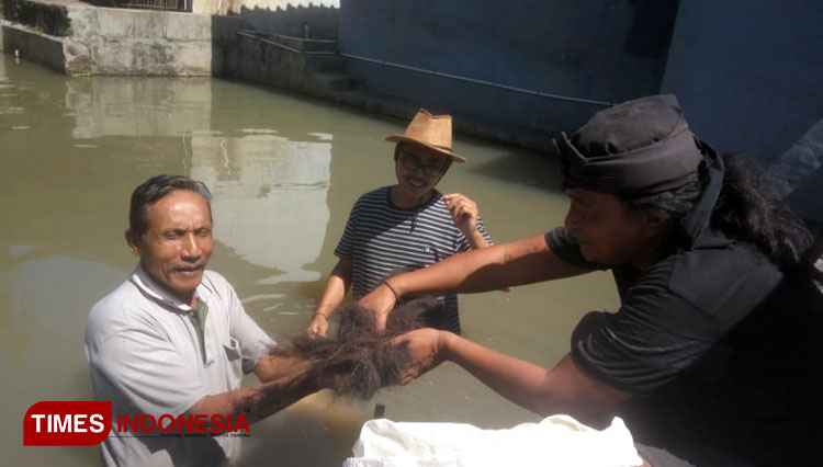 Padepokan Wangsa Syahitu yang berkolaboraksi dengan Yayasan Rumah Singgah Satwa Indonesia (RSSI) budidaya benih ikan gurame. (Foto: Jaja Sumarja/TIMES Indonesia)