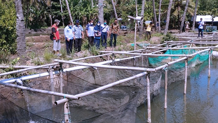 Dkpkp Pangandaran Perikanan Jadi Penyumbang Pdrb Yang Baik Times