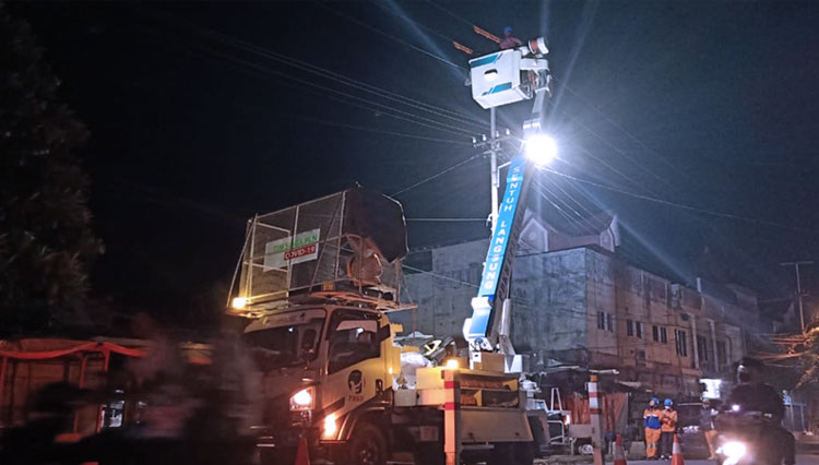 Jaringan Listrik PLN di Pagaralam Diamankan dari Gangguan Hewan