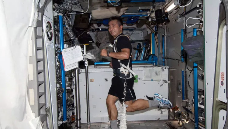 Astronot Badan Eksplorasi Luar Angkasa Jepang, Koichi Wakata berlatih di treadmill stasiun luar angkasa. (FOTO: NASA)