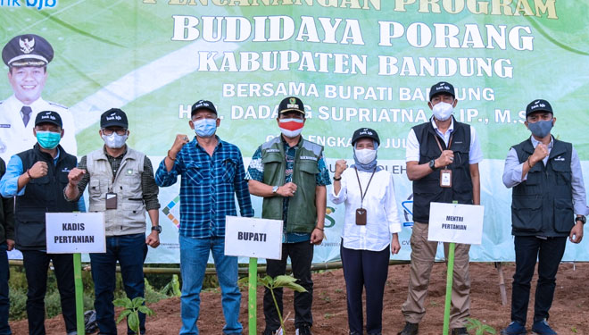 Bupati Bandung Dadang Supriatna saat Pencanangan Program Tanam Porang dalam 99 Hari Kerja di Desa Dampit, Cicalengka, Sabtu (31/7/21).