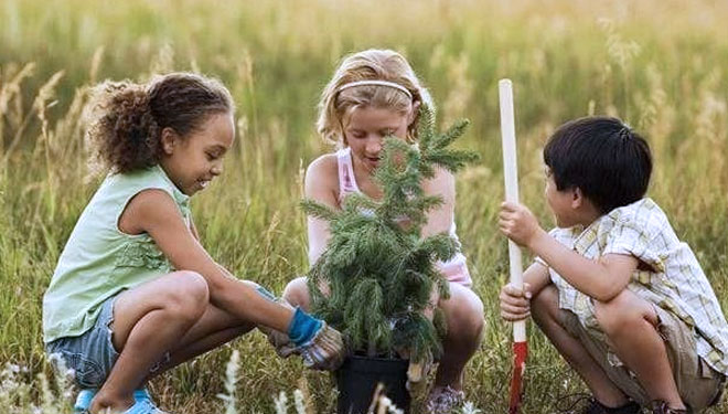 Mengajarkan anak tentang lingkungan dapat mengembangkan kecerdasan naturalis (Foto: Pinterest)