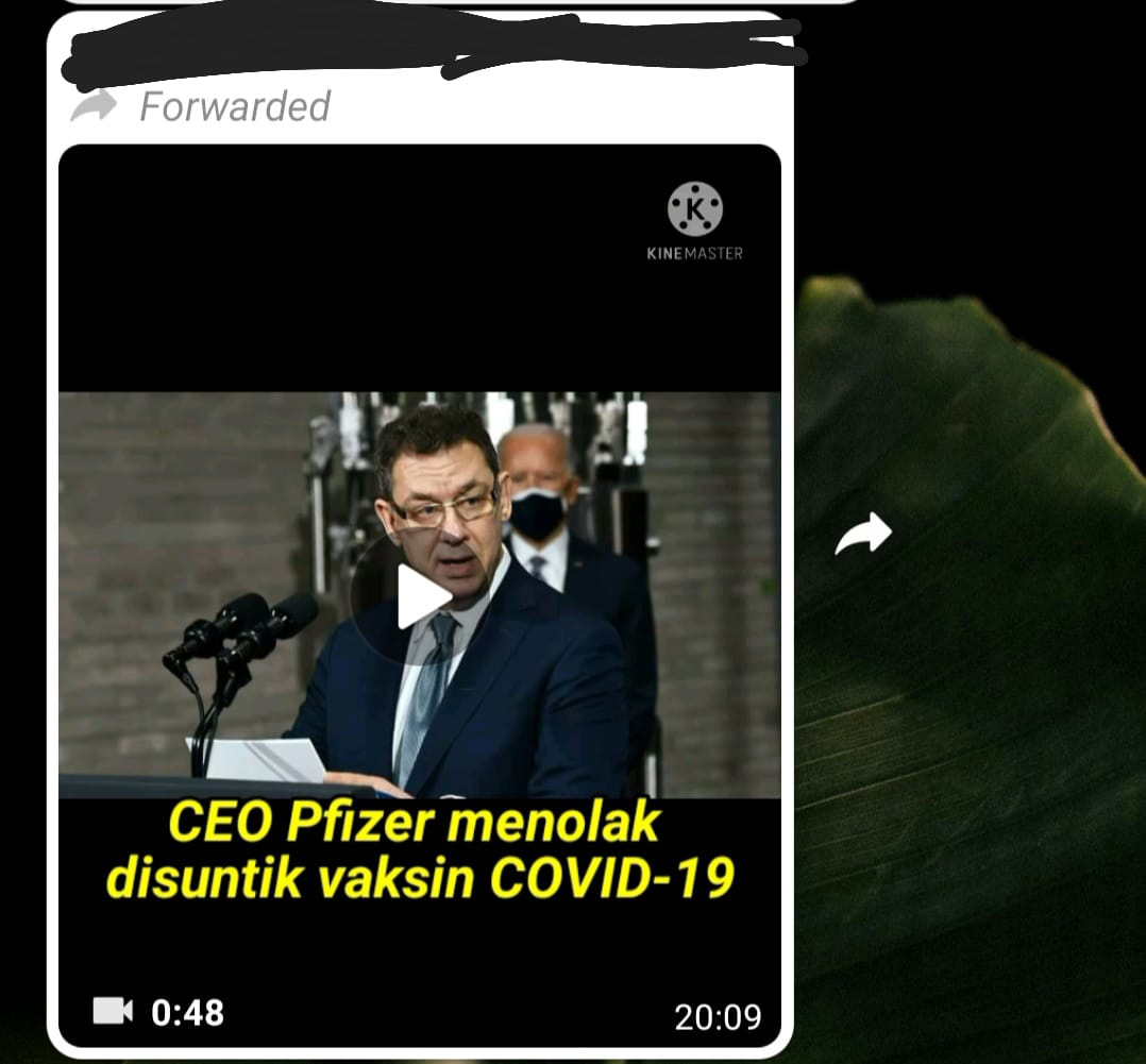 cek fakta CEO Pfizer 2