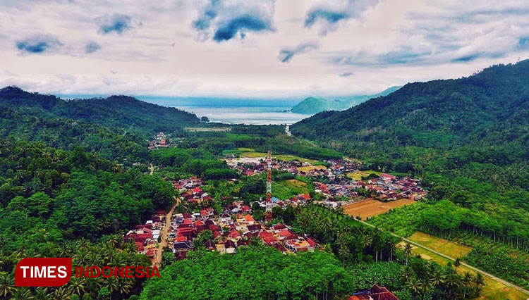 Obyek Wisata Tutup Selama PPKM, Pelaku Usaha Wisata di Malang Selatan Kembali Bertani