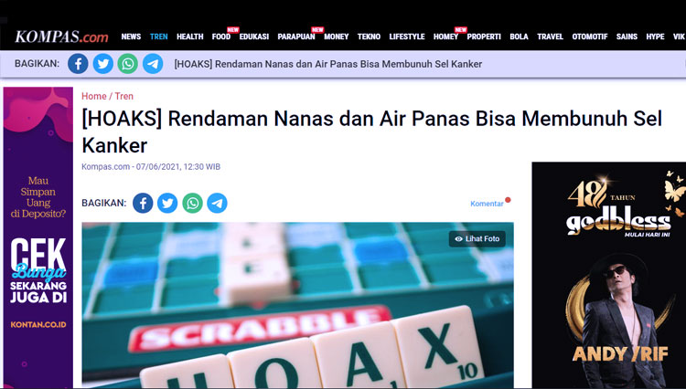 cek fakta air nanas 5