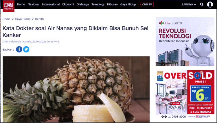 cek fakta air nanas 6