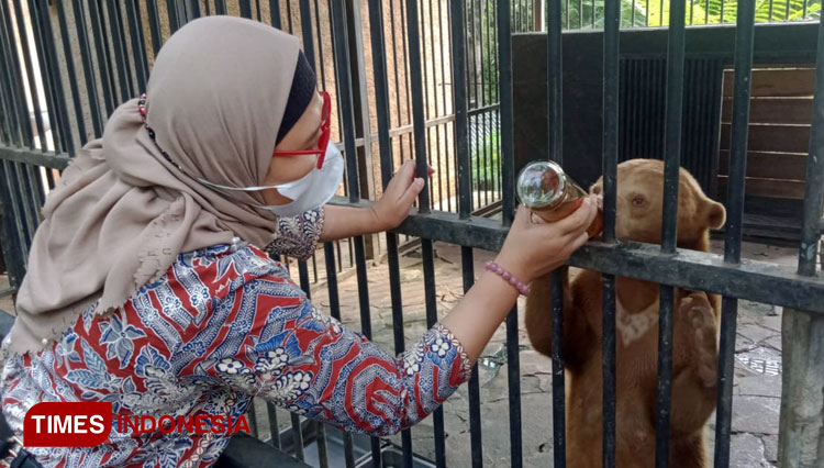 Bupati Indramayu Nina Agustina Dai Bachtiar, melihat koleksi satwa di Pusat penangkaran dan penyelamatan satwa langka dan dilindungi, Fauna Indonesia, di Bekasi, Jawa Barat. (Foto: Muhamad Jupri/TIMES Indonesia)
