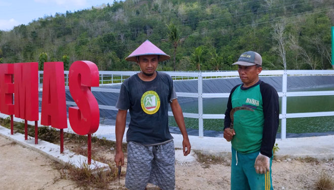 Demi Pertanian, Pemdes Tremas Pacitan Bangun Embung di Bukit Tandus