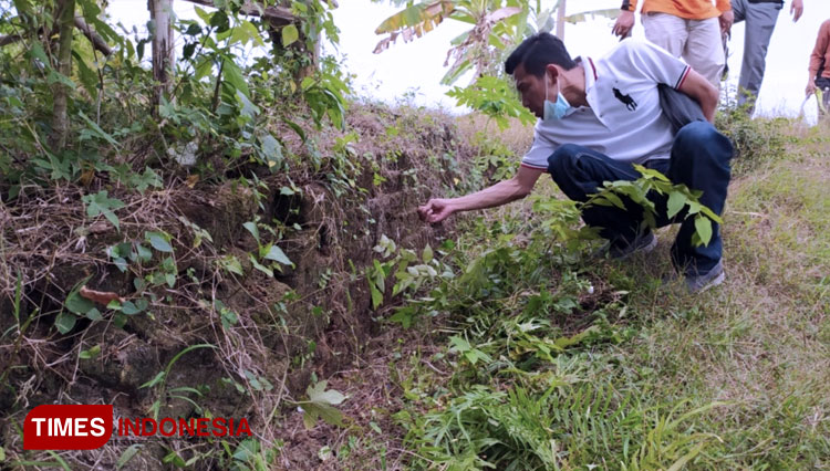 melakukan-peninjauan.jpg