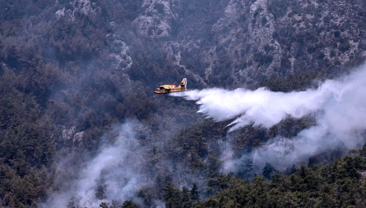 Kantor berita swasta DHA mengatakan ya pesawat itu yang jatuh saat sedang memadamkan kebakaran hutan di wilayah pedalaman Bertiz. (FOTO :Al Jazeera/Reuters).