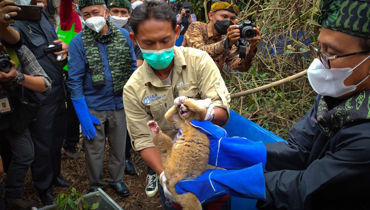Cagaralam Nusa Gede
