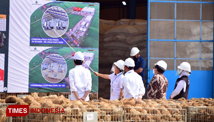 Dorong Pabrik Porang Di Madiun, Presiden RI Jokowi: Bisa Jadi Makanan ...