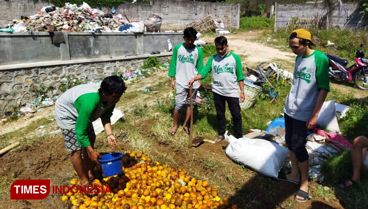 Proses pembuatan pupuk organik dari limbah jeruk busuk, kotoran kambing dan eco enzim. (FOTO: AJP TIMES Indonesia)